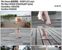 �����й�   GQSP-L211