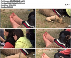 С������ŵ��ջ�