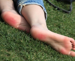 һ˫�����������εĲݵ�Բ����[46P]