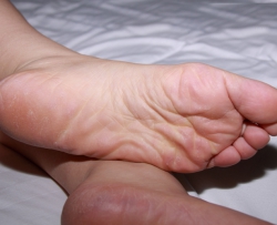 ������ġ�40P�� CZZJY-S057