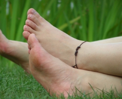 [����]�����Ͳݵ��ϵ���˫����  40P CZZJY-N031