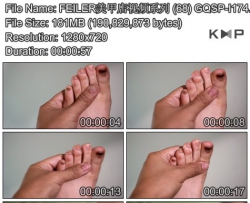 FEILER���׵���Ƶϵ�� (68) GQSP-I174