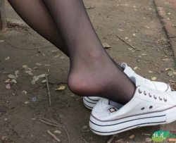 QJԭ��_ѧԺϵ�� (36) 49P