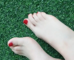 �ݵ���չʾ��ɫ��ɫϸ�߸�����