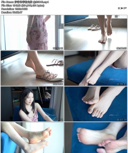 ���ŵ���ȹ���