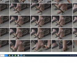 4K-����ȹ�̲���������������Ь