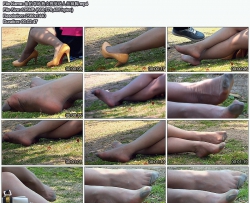 ͵�Ĳݵ���Ů�Ӿ�����˿���1440P