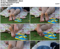 ������ģ�ļ���ϵ�С� (26)