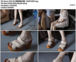 CZZ-422 ������Ƶ-����  GQSP-E097