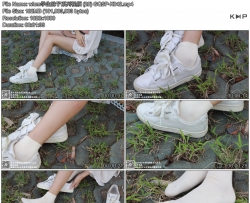 wlcmѧ������ϵ����Ƶ (29) GQSP-K042